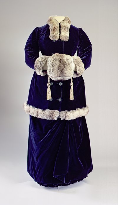 Winter Ensemble, Paris, 1883 by French School